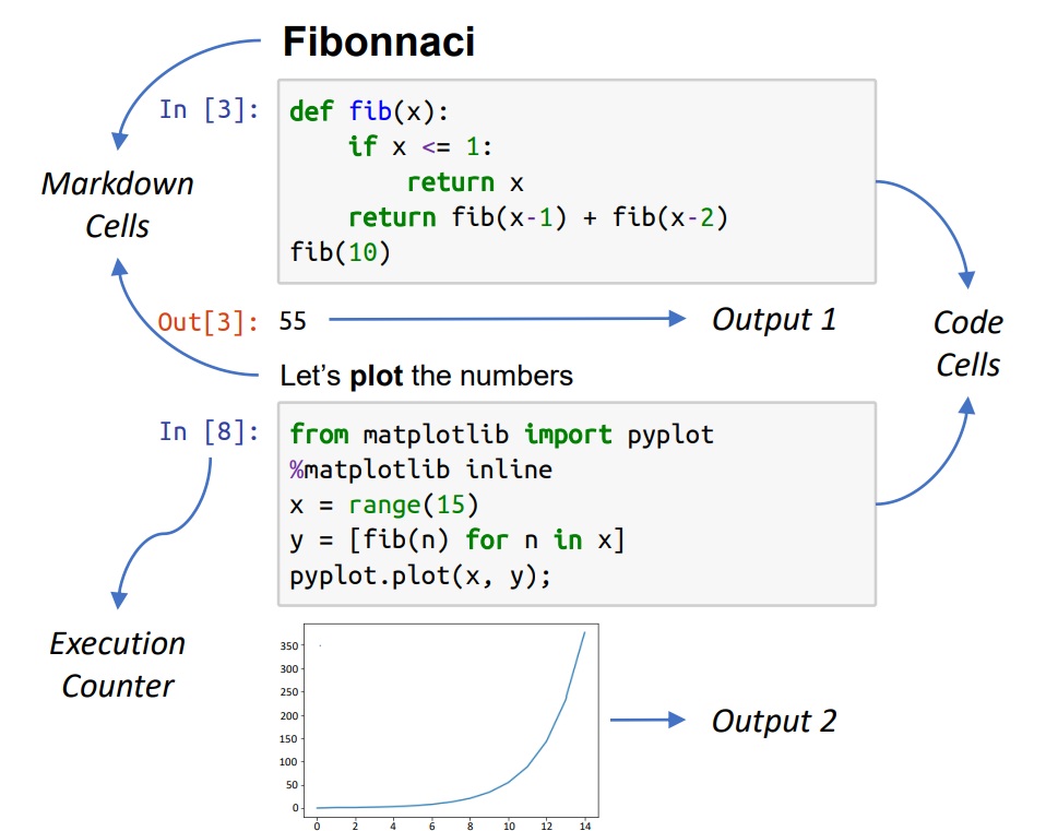 Overview of a Jupyter notebook.