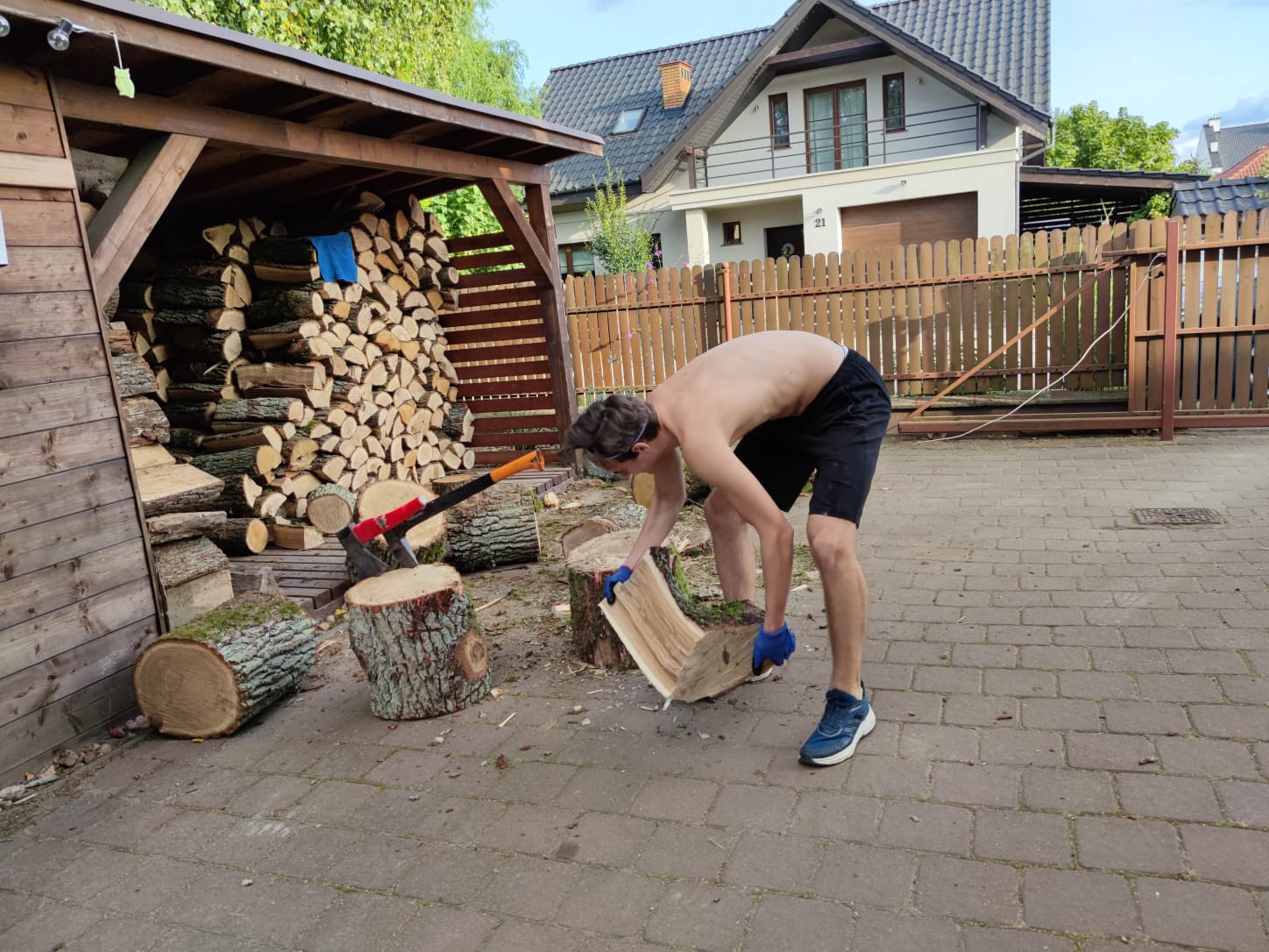 Activity. Reflection 12 - Wood Splitting